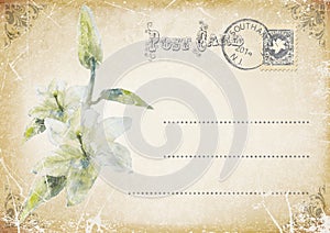 vintage grunge postcard with flower. illustration