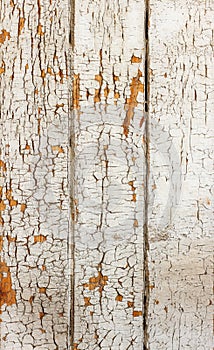 Vintage grungy white background of natural wood or wooden old texture