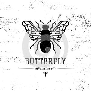 Vintage hand drawing butterfly silhouette label