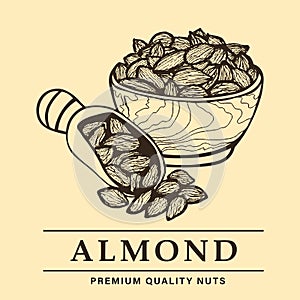 Vintage hand drawn logo for web site or shop, bowl of almonds with spatula, premium quality organic almond nuts vector illustratio