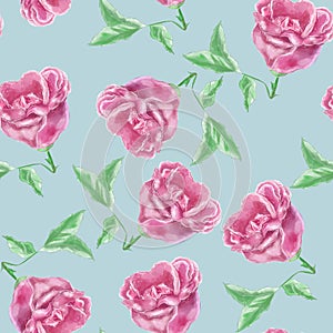 Vintage hand drawn watercolor rose flower seamless pattern