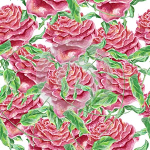 Vintage hand drawn watercolor rose flower seamless pattern