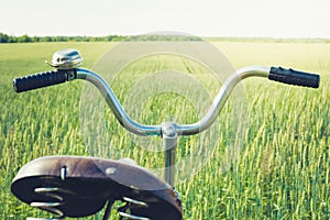 Vintage handlebar with bell on bicycle. Summer day for trip. View of wheat field. Outdoor. Closeup.