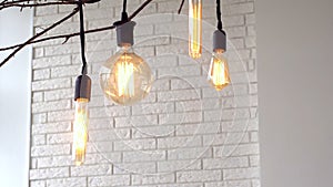 Vintage hanging lamps on white background of wall. Media. Glowing vintage light bulbs of different shapes hang on branch