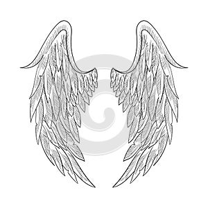 Vintage heraldic wing sketch. Doodle stylized bird wings. Hand drawn wing in open position. Angel wings sketch