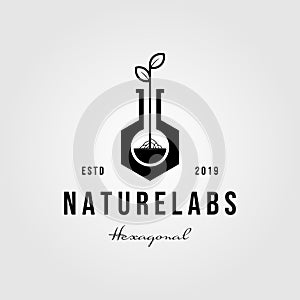 Vintage hexagon nature labs leaf logo designs illustration photo