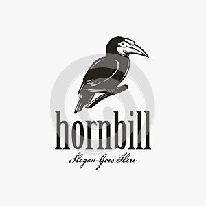 Vintage Hornbill logo design, hornbill bird on branch logo