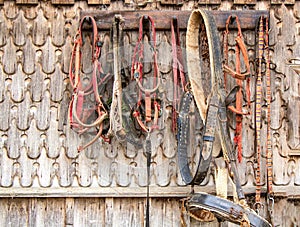 Vintage Horse harnesses on a wooden wall