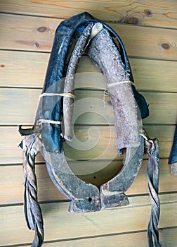 Vintage horse whist yoke on wooden wall