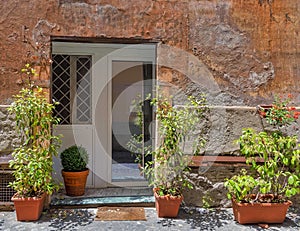A vintage house exterior with white entrance door on ocher wall and flower pots