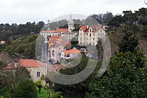 Vintage houses and mansions built into a hillslope lush with greenery, Sintra, Portugal