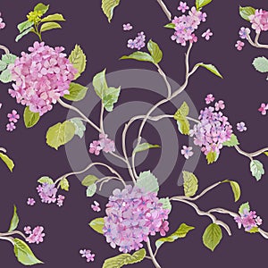 Vintage Hydrangea Background