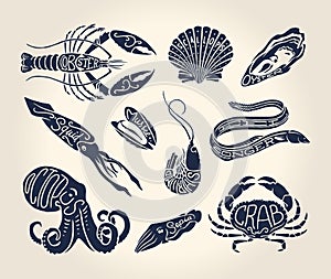 Vintage illustration of crustaceans, seashells and cephalopods with names photo