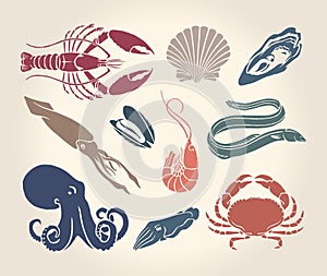 Vintage illustration of crustaceans, seashells and cephalopods photo