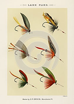 Vintage Illustration of fly fishing hooks. Fly Fishing. Ca. 1890