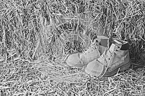 Vintage image of leather sneakers on straw floor