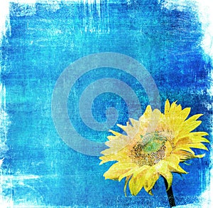 Vintage image of sunflower on grunge background