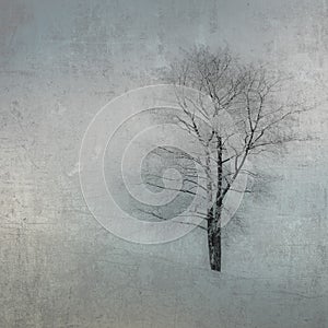 Vintage image of a tree over grunge background