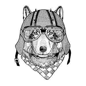 Vintage Image of WOLF for t-shirt design for motorcycle, bike, motorbike, scooter club, aero club