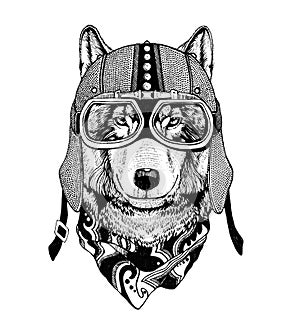 Vintage Image of WOLF for t-shirt design for motorcycle, bike, motorbike, scooter club, aero club