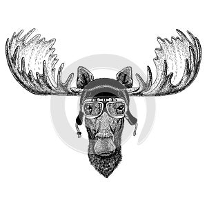 Vintage images of elk or moose for t-shirt design for motorcycle, bike, motorbike, scooter club, aero club