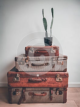 Vintage interior with old reused suitcases as smart storage space and a cactus