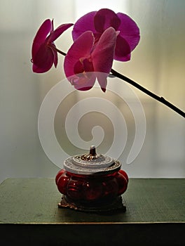 Vintage jar with coins and orchid. Duet in the frame.