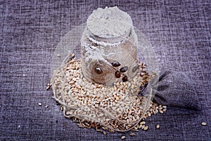 Vintage jar of white flour stands in the middle of a pile of grain o