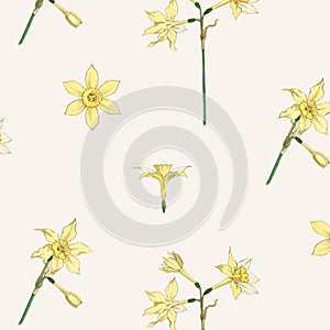 Vintage jonquil flower pattern vector design resource