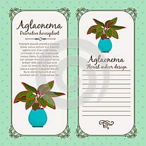 Vintage label with aglaonema plant