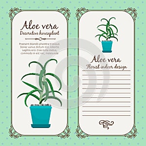 Vintage label with aloe vera plant