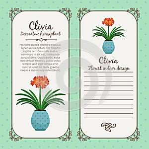 Vintage label with clivia plant