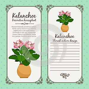 Vintage label with potted flower kalanchoe