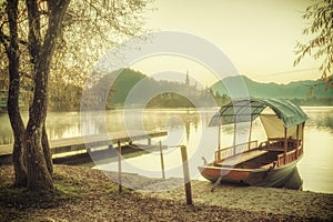 Vintage Lake with Island in Mountains