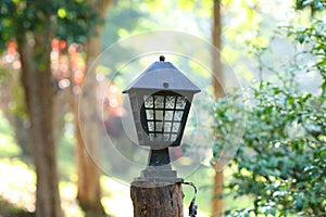 vintage lamp on blur nature background