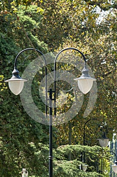 Vintage lamp - with green trees surrounding the lamp