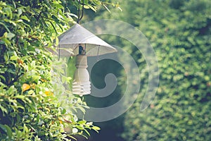 Vintage lamp hanging on green trees at outdoor garden.