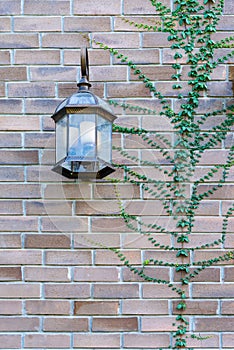 Vintage lamp light bulb and Trees covered on brick wall exterior design for building architecture home and living decorated