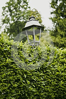 Vintage lamp post in a park with green plants