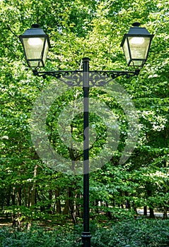 Vintage lamp post with two globes in a park. Street light pole with green trees in the background