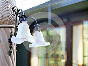 Vintage lamps black and white color with lightbulbs flowers shape decorative on the classic stone pole in the garden at home.