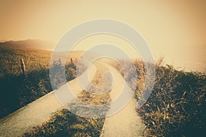 Vintage landscape background with path