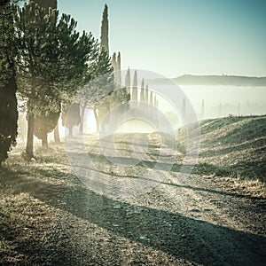 Vintage Landscape with Cypress and Road