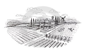 Vintage landscape. Farm, agriculture sketch