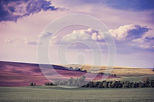 Vintage Landscape with Fields and Sky