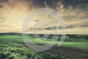 Vintage Landscape with Fields and Sky