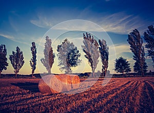 Vintage landscape of straw bales on stubble field