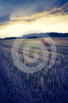 Vintage landscape of straw bales on stubble field