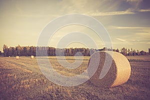 Vintage landscape of straw bales on stubble field