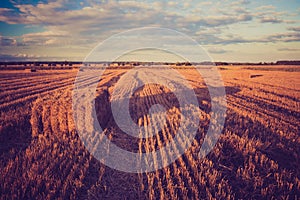 Vintage landscape of straw bales on stubble field